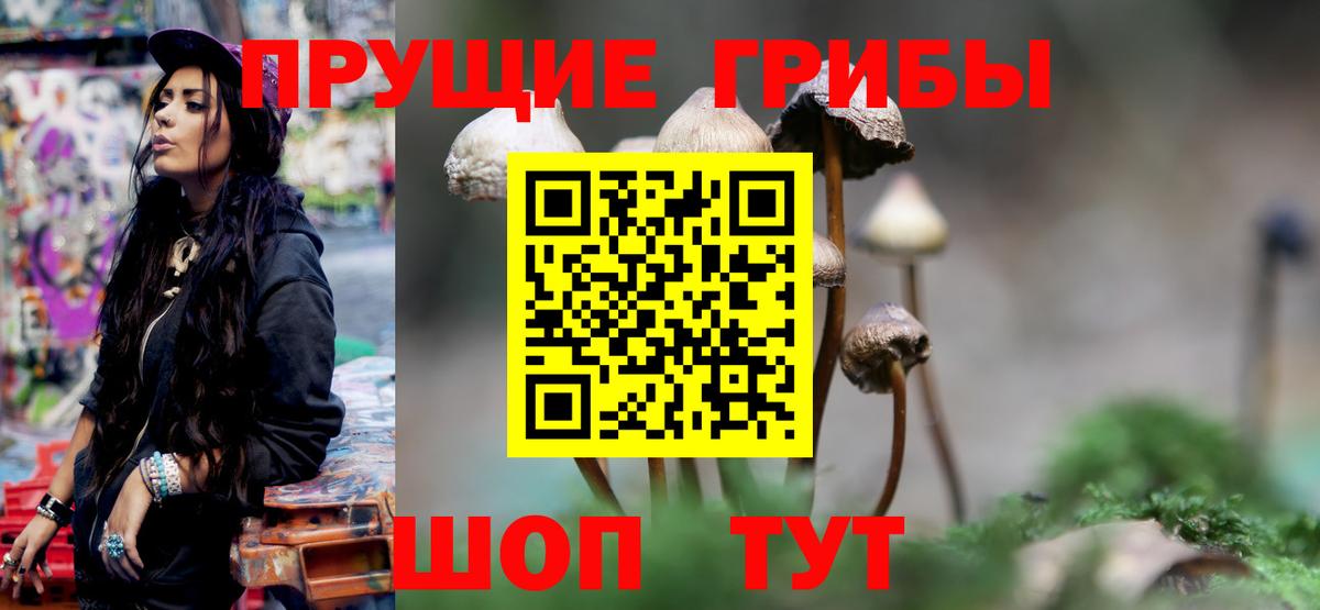 Галлюциногенные грибы GOLDEN TEACHER  Вход с VPN  Сорочинск 
