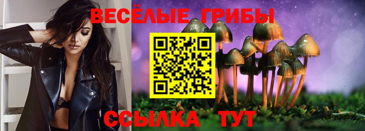 Галлюциногенные грибы Cubensis Сорочинск