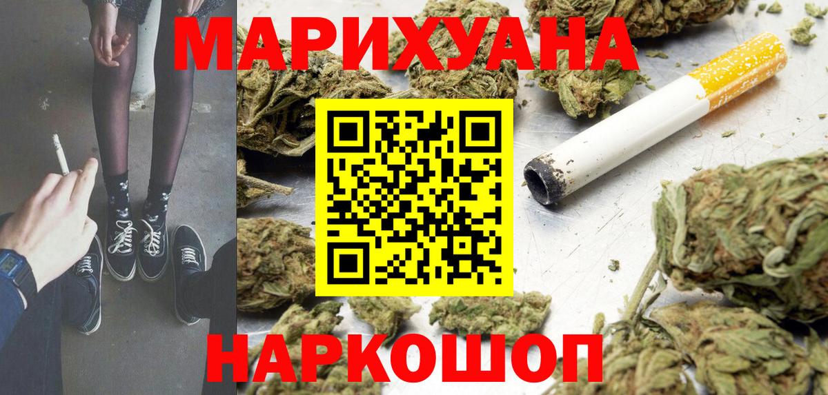 Конопля гибрид Сорочинск
